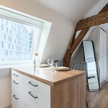 Old - Equipped And Bright ! Apartment Lille